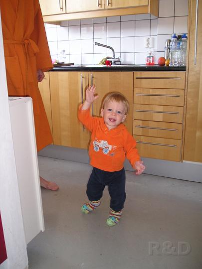 Imme 14 oktober 2007 (3).JPG